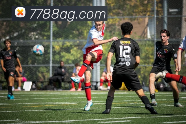 ag官网平台生态图